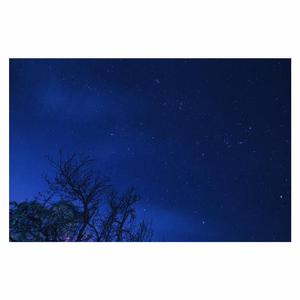 女人❌👙羞动漫视频
